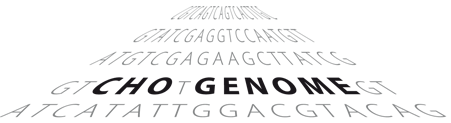 CHOgenome.org Logo