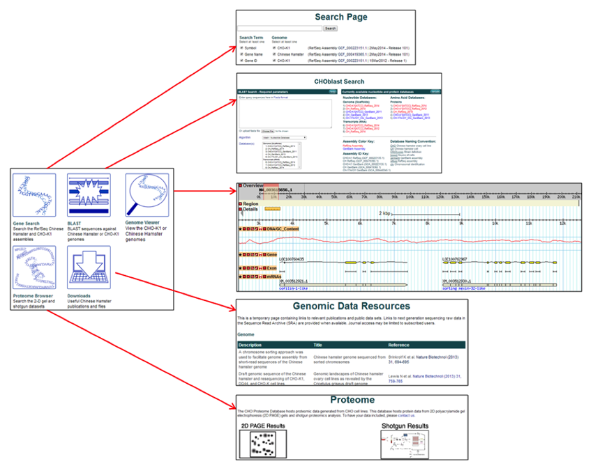 Illustration of search results